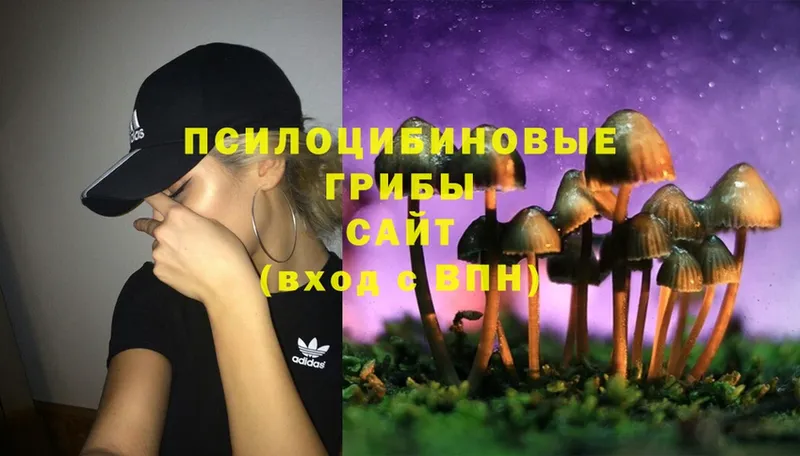 Галлюциногенные грибы MAGIC MUSHROOMS  Красный Кут 